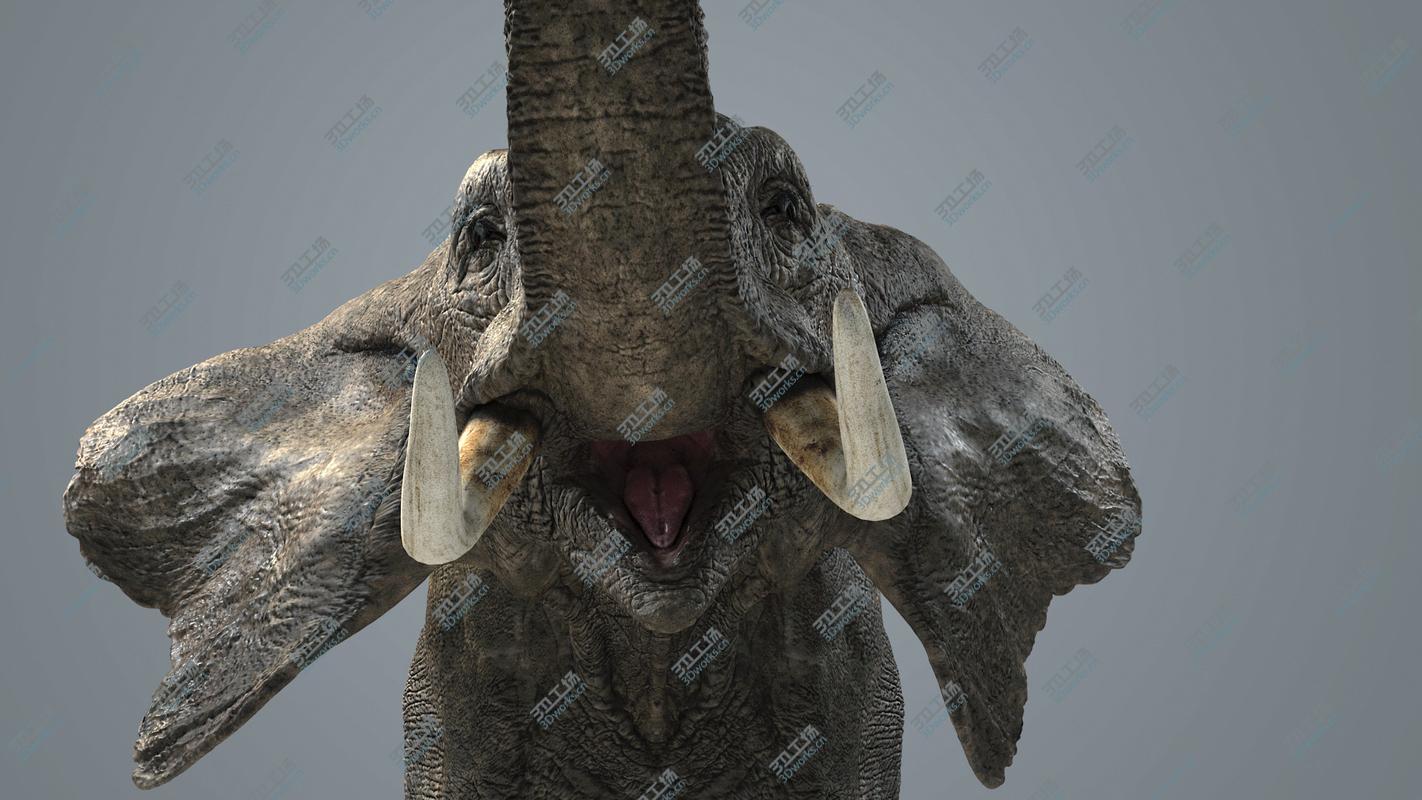 images/goods_img/202105072/3D model Elephant-Maya-Animated/1.jpg